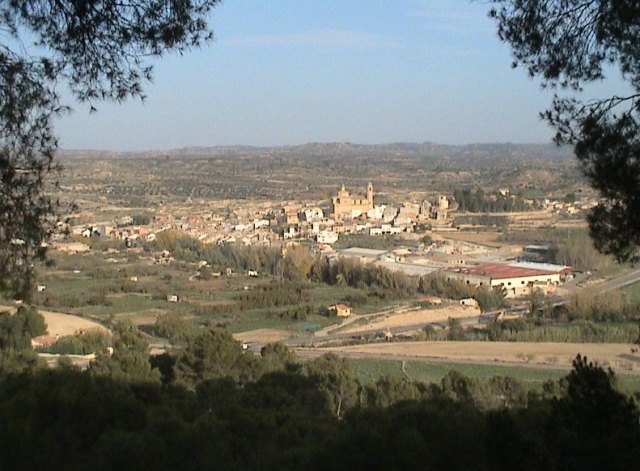 Zona centro vista desde el mirador