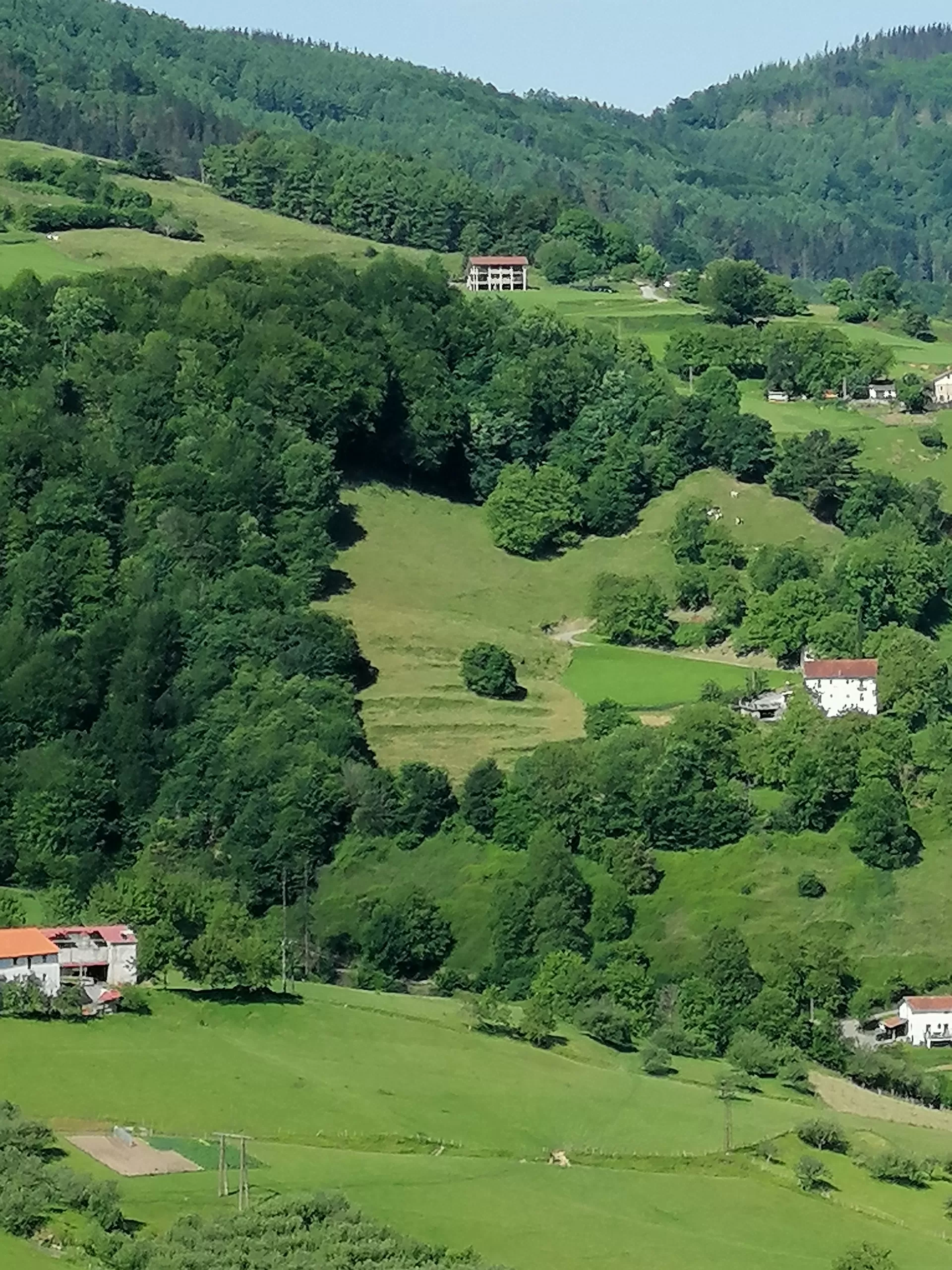 Eduardo De la Torre Poveda in your stay in Letea 1337_1