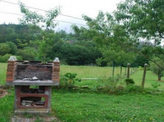 La Flor de Asturias