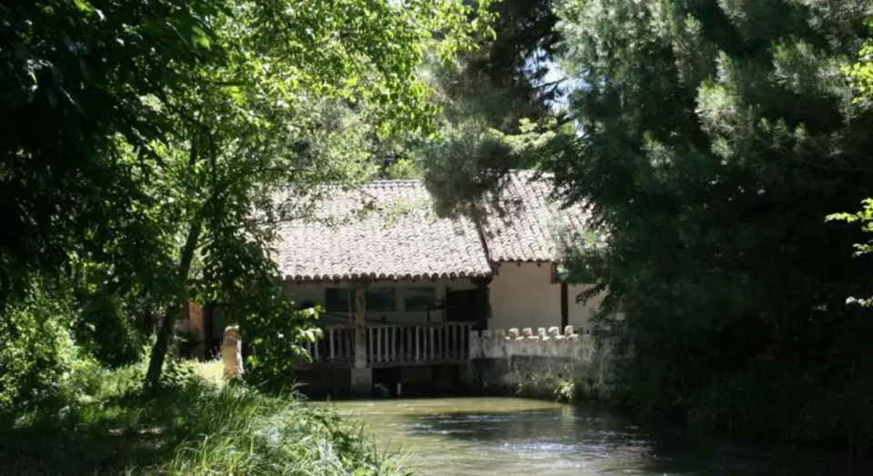 Molino de Matazorita II