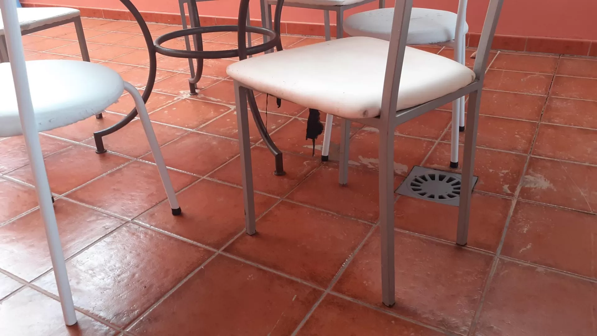 DÁCIL LLARENA HIDALGO en su estacia en Casa Doña Remedios 2480_4