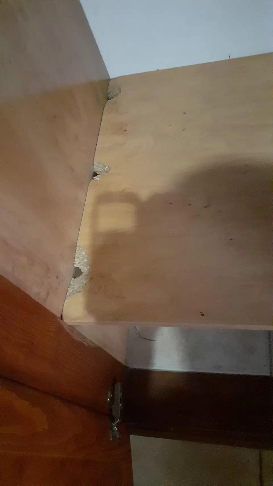 DÁCIL LLARENA HIDALGO en su estacia en Casa Doña Remedios 2480_1