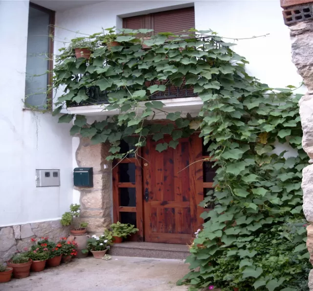 Casa Manolita II