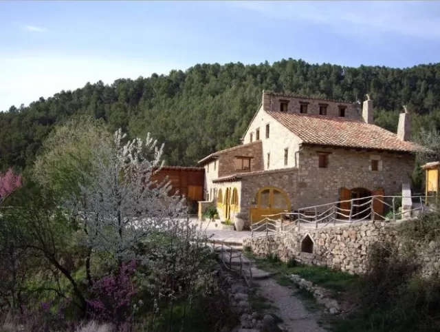 Mas de Borràs