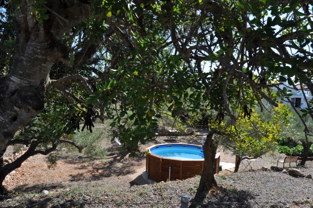 Habitación Jardín
