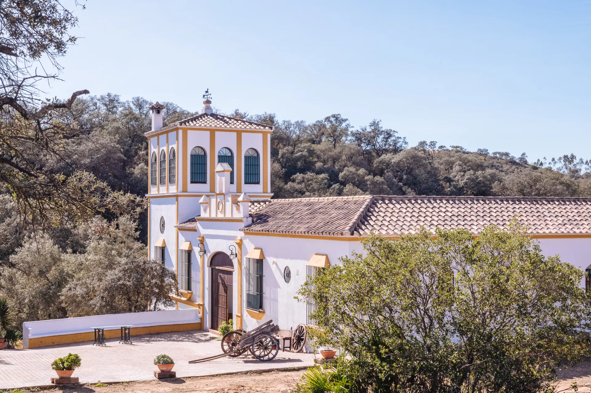 Finca Los Gorriones