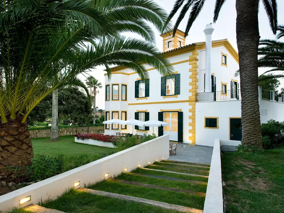Hort Sant Patrici