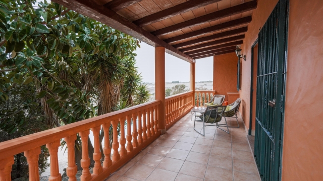 Terraza
