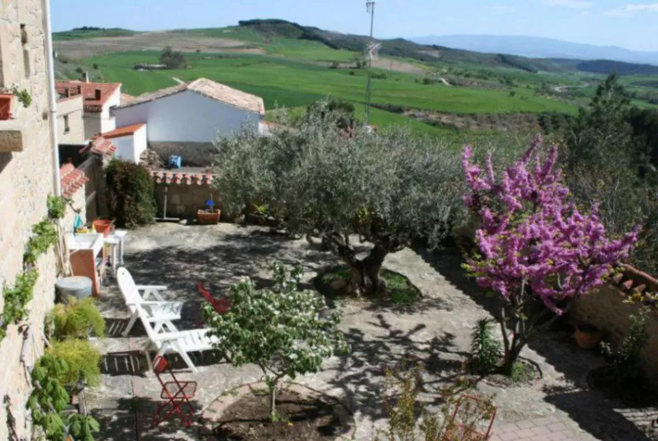 El Olivo de Sansol