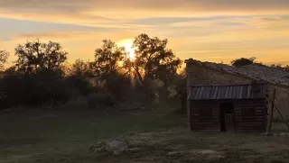 Rosa Pellicer Voltas en su estacia en Masía Rovira 6579_1