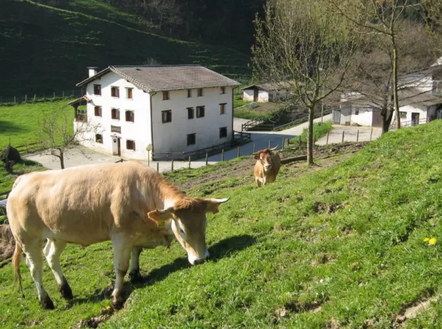 Agroturismo Borda