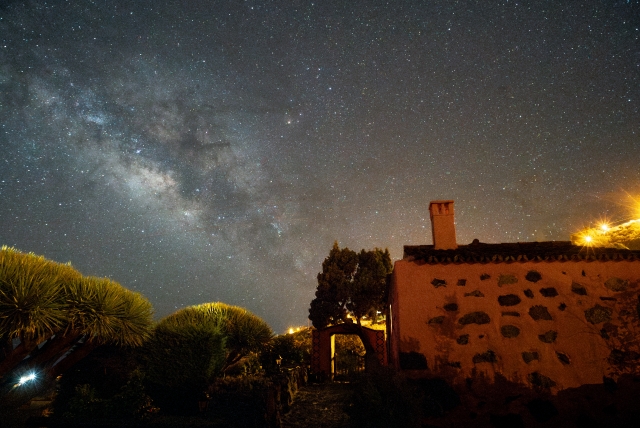 nocturna