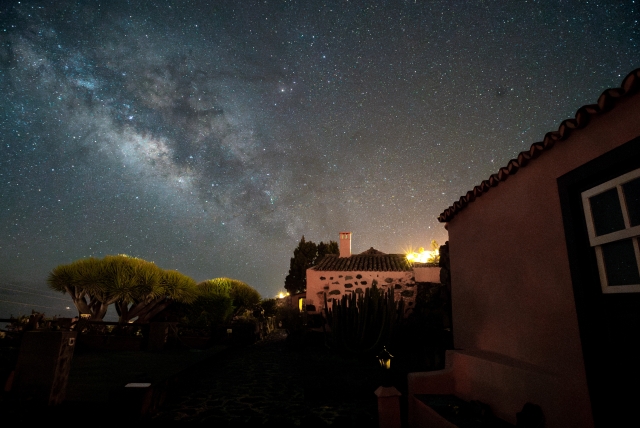 nocturna