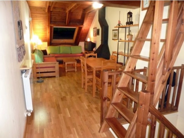 Salon con chimenea de lena