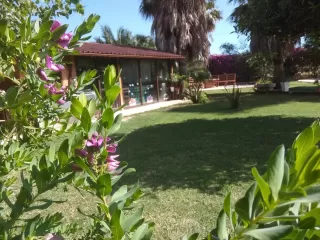 Lo Racó de Peret- Llimona
