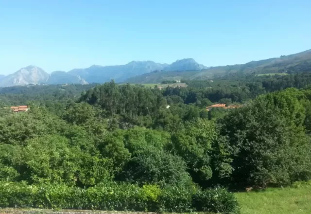 Excelentes vistas