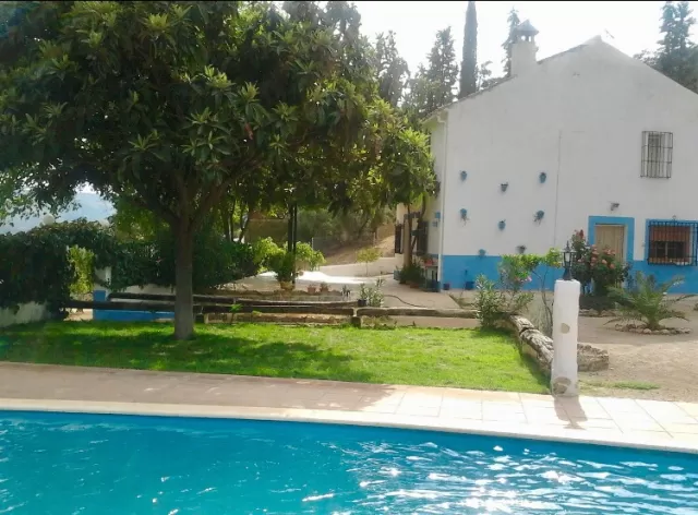 La Joya