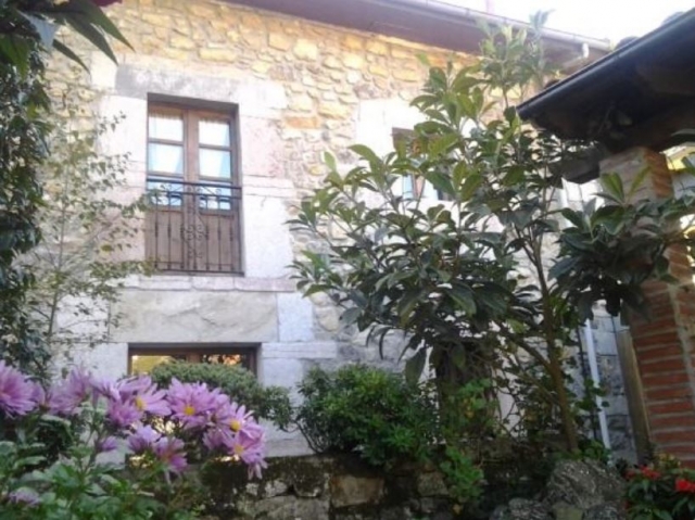 Flores y plantas del jardin