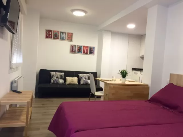 Apartamento 1 Hab. 2-4 plazas
