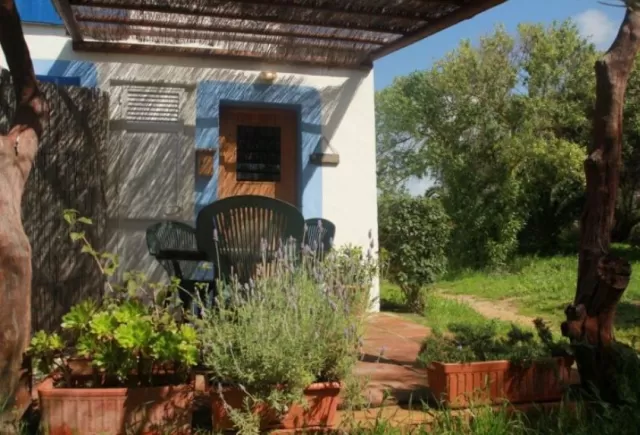 Estudio El Madroño