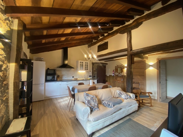 Apartamento Lizardi