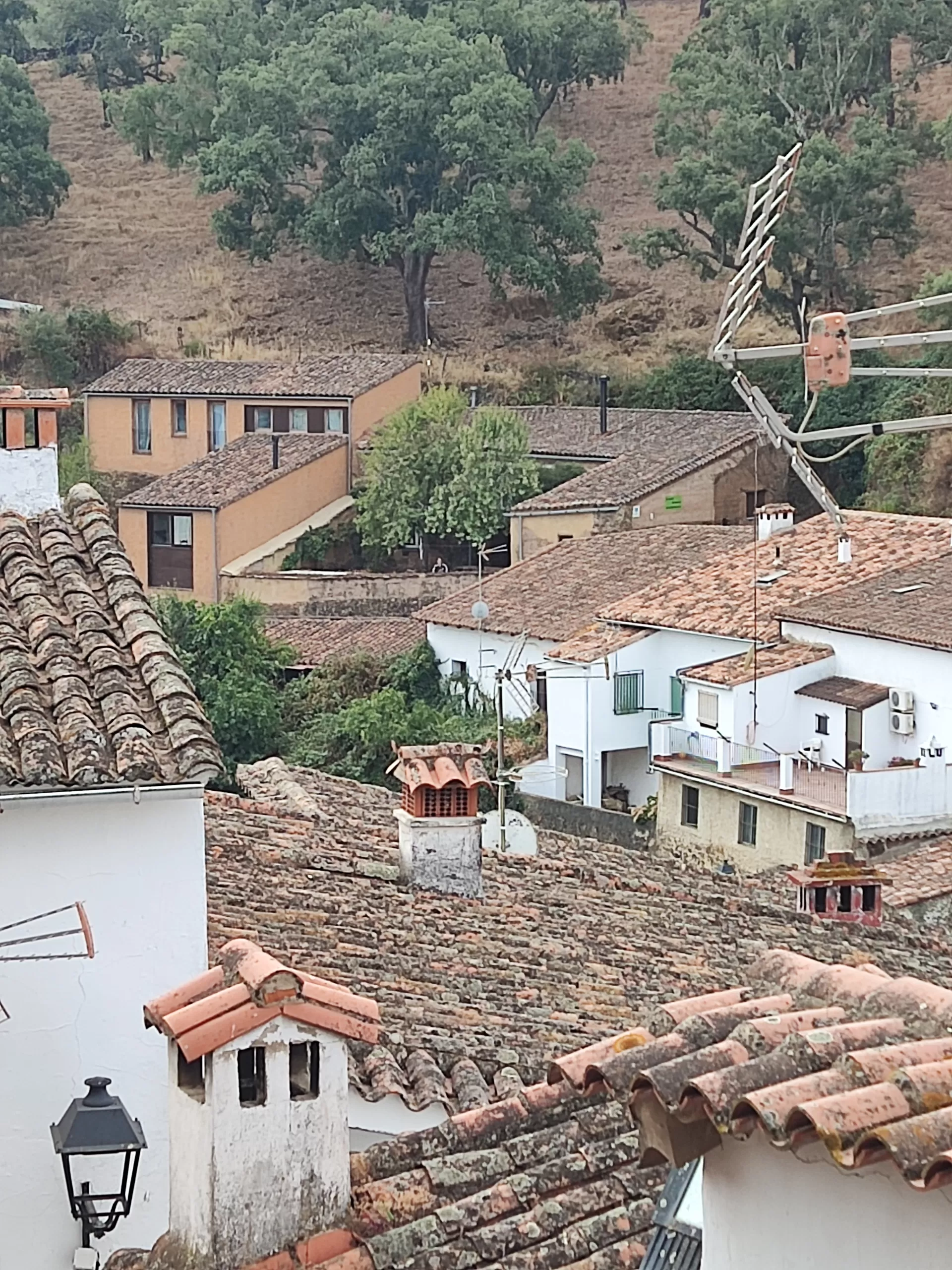 Juan Manuel Montilla  en su estacia en El Zarzo de Nemesio 5217_1