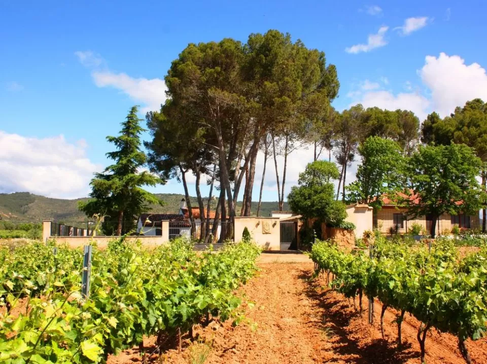 Casa Rural Entreviñedos del Somontano