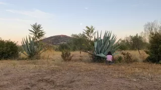 Pedro Manuel Moreno Borja dans son séjour à Agroturismo La Finka 6452_1