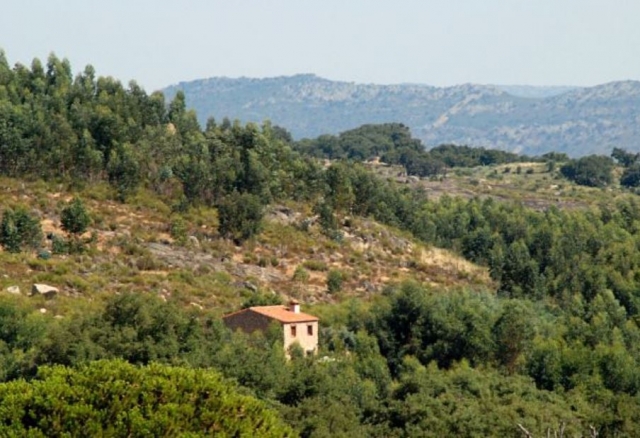 Vistas de las zonas verdes 