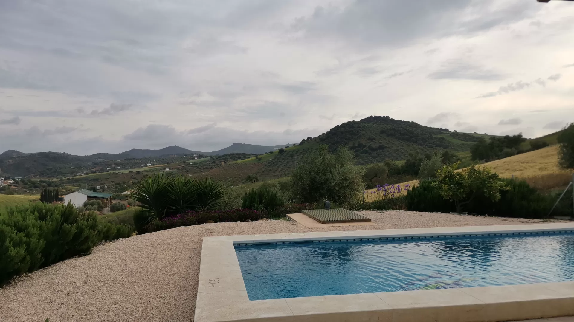 Junior in your stay in Villa Celeste 2523_1