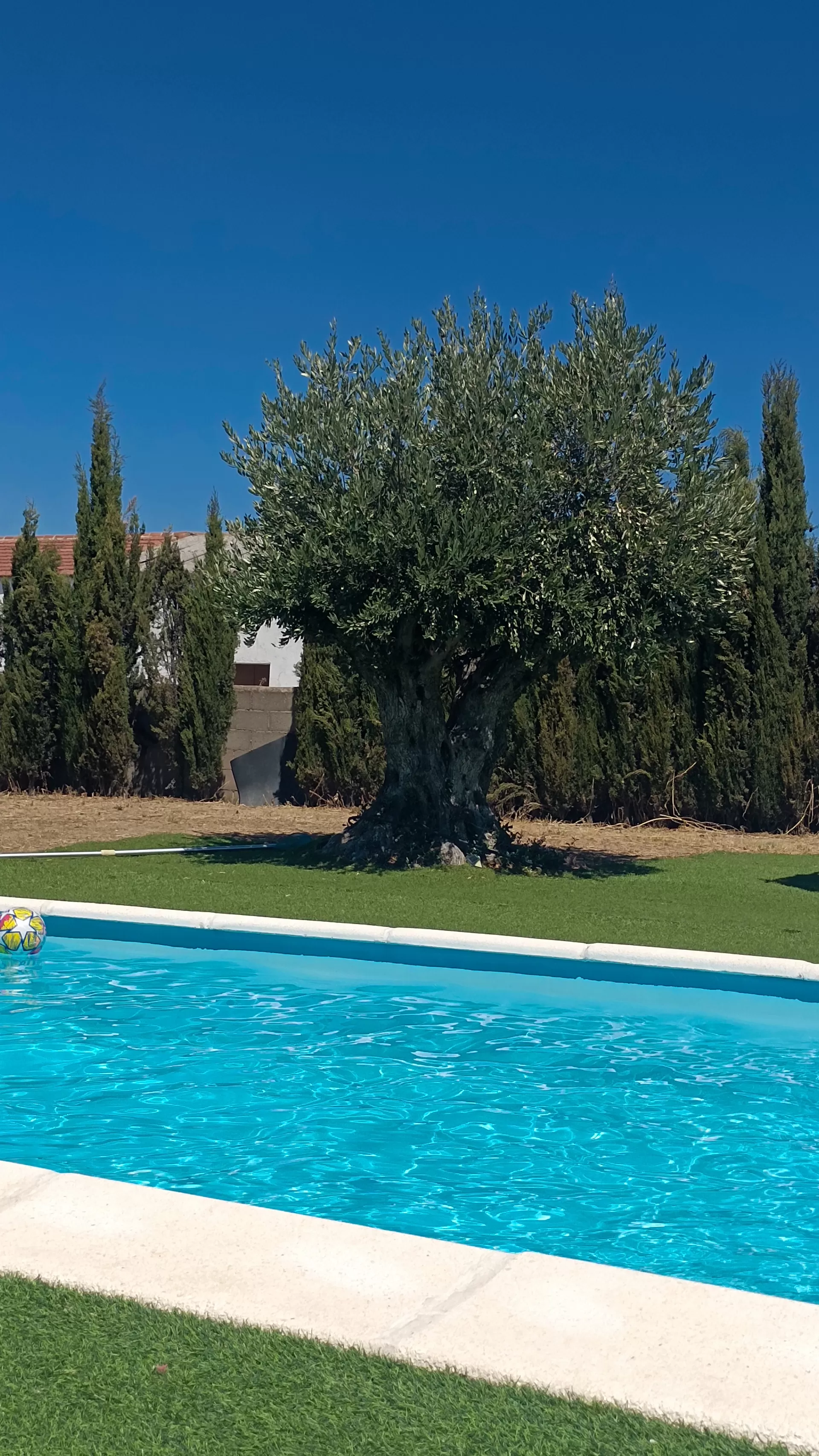 María Jesús De Torres Rubio  dans son séjour à Rural Pedroches- La Casa del Pozo 5036_2