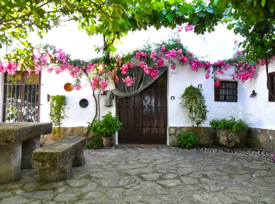 Cortijo La Gineta- Casa del Patio