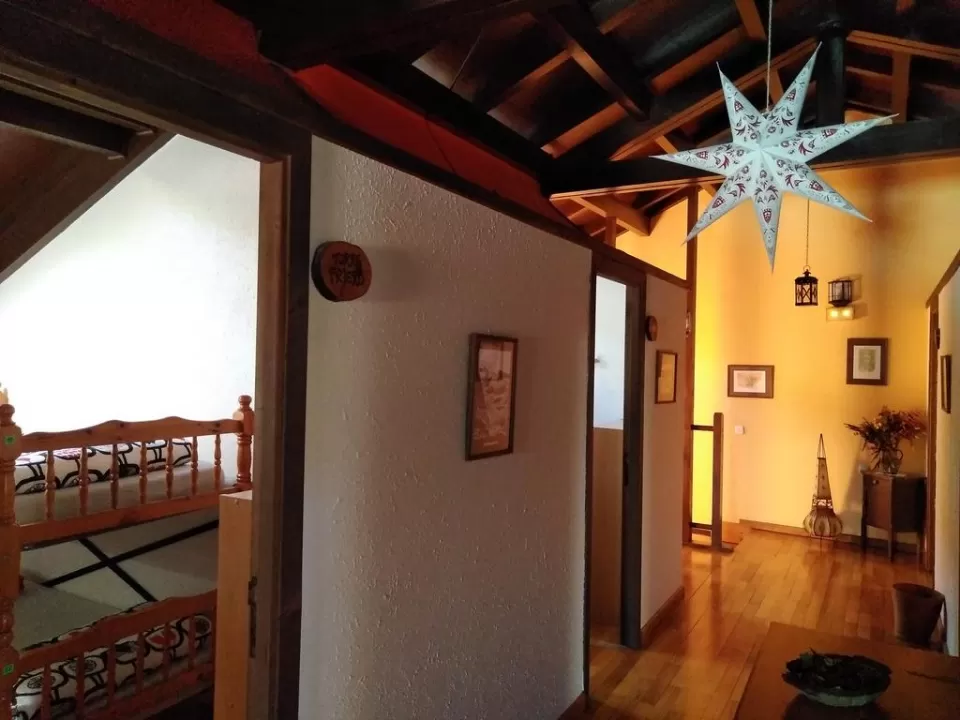 Cama 14