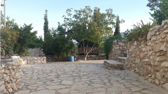 Vistas del patio y sus plantas