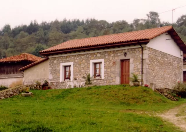Los Pindales