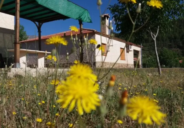 Casas rurales La Donal- Amalia