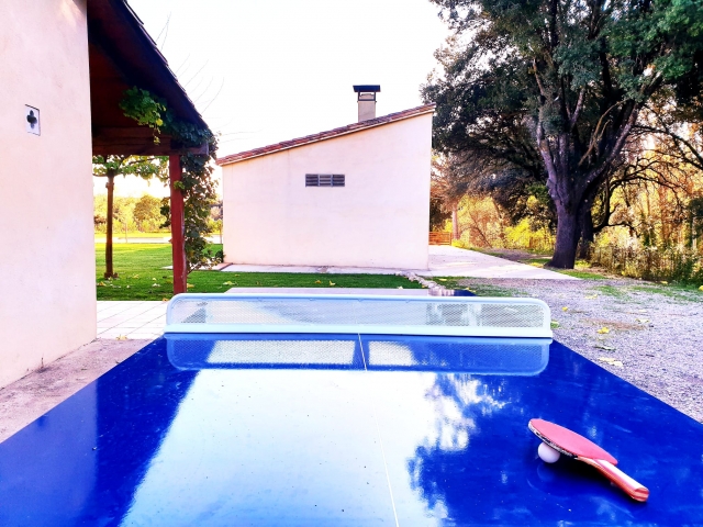 ping-pong