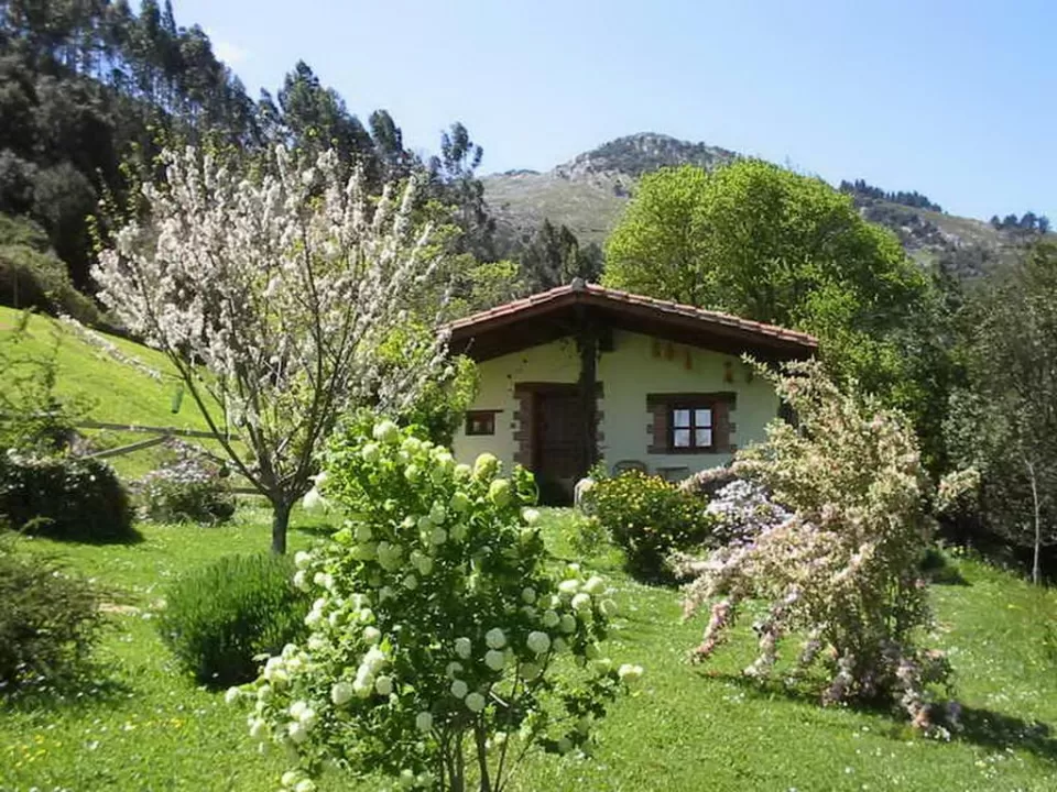 Los Acebos de Peña Cabarga III