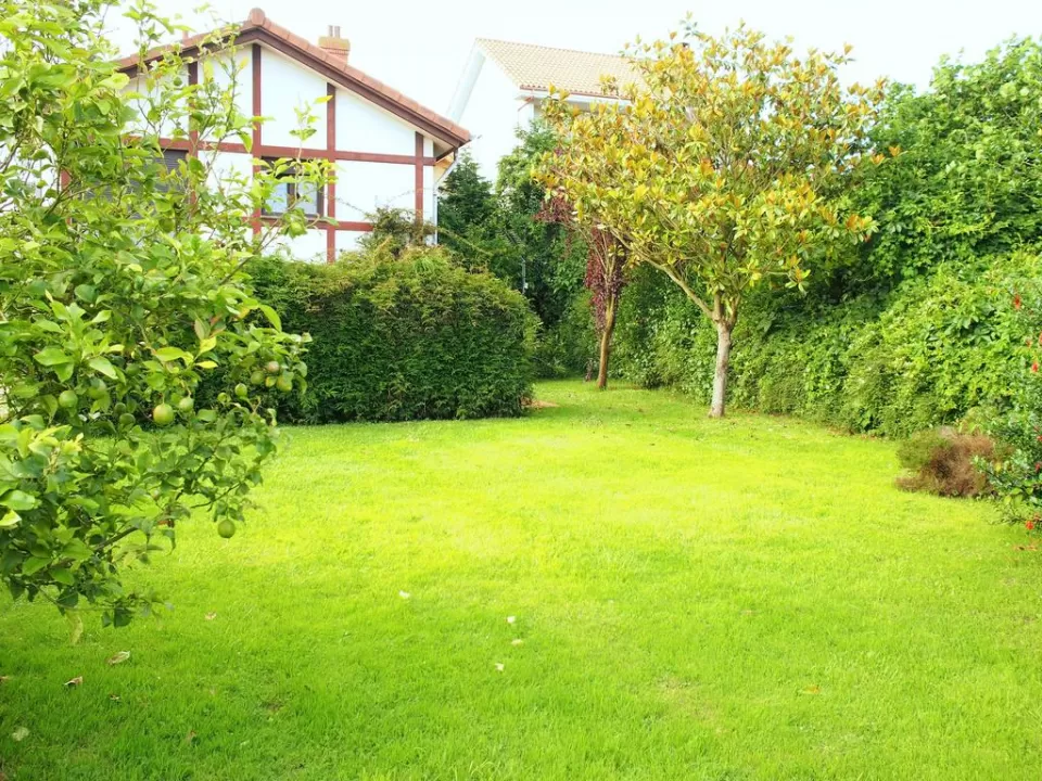 Casa Boo