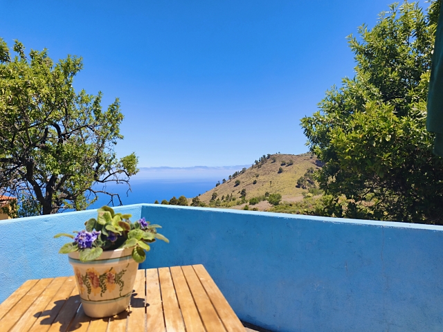 terraza