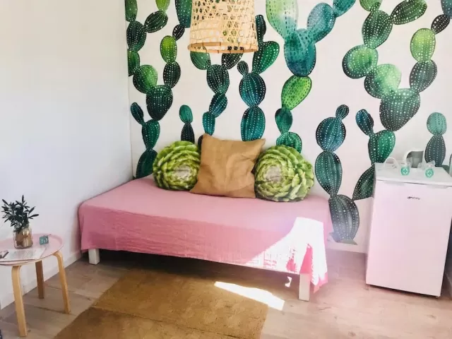 Can Chumbera- Primera Planta