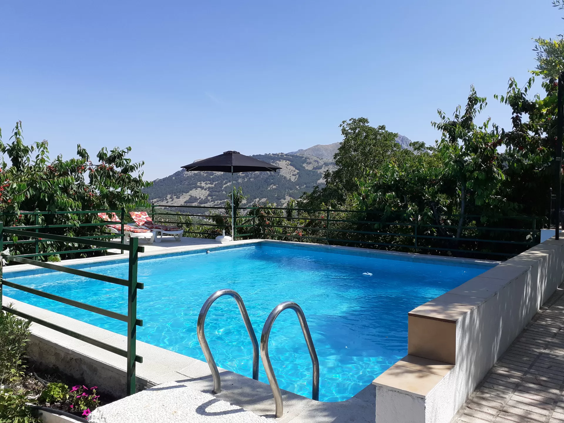 Vivienda Rural Jurinea Alzar