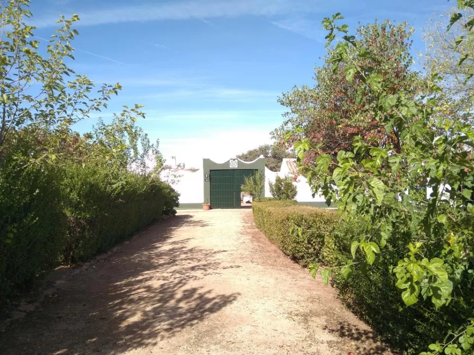 Finca La Marina
