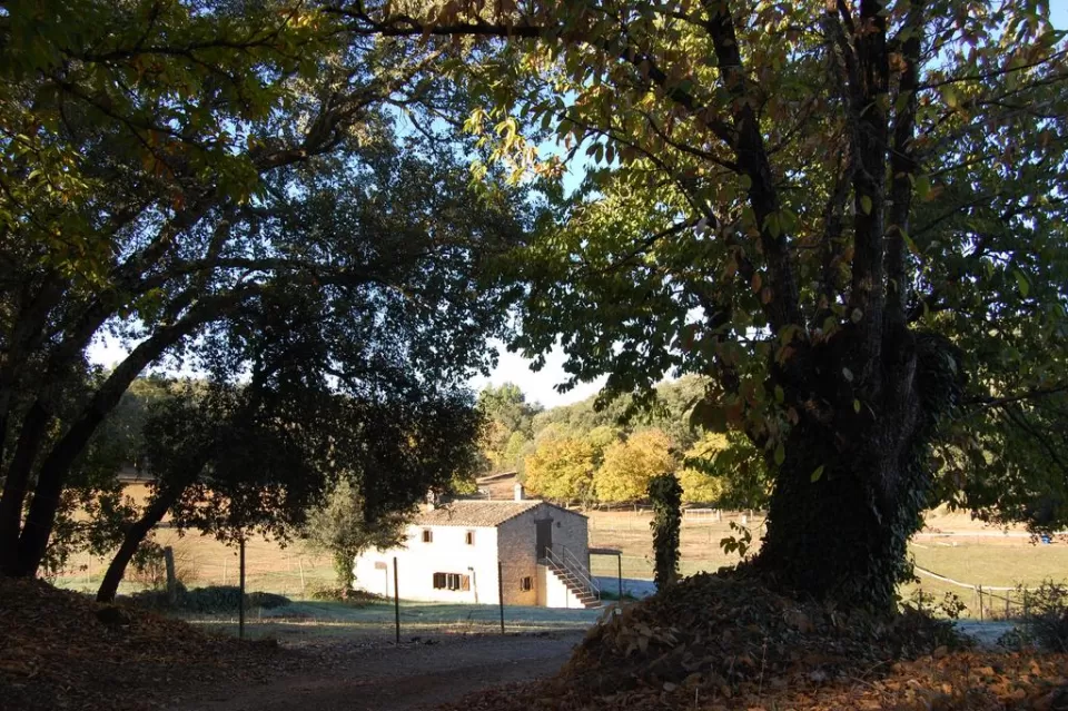 Finca El Zurrador