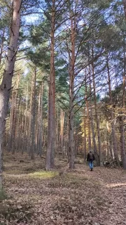 Inés Tato Maluquer  in your stay in Casa Rural El Balcón De Tera 6534_1