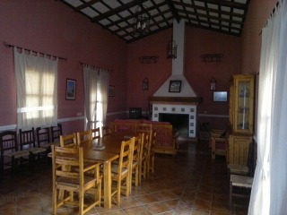 Zona comedor con chimenea