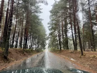 David Fernández  dans son séjour à El Huertecito 6556_2