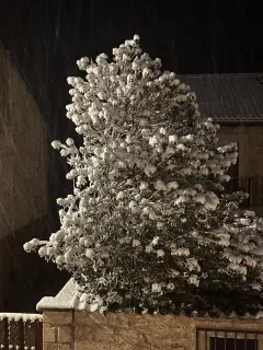 Jorge Isidro en su estacia en La Casa de Don  6705_3