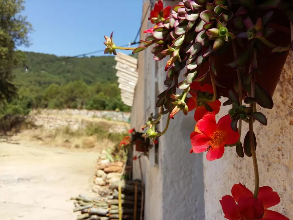 Caseta de l'era