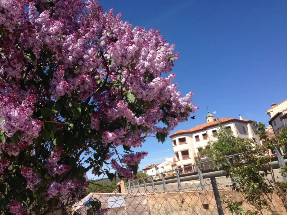 Encanto de Aragón